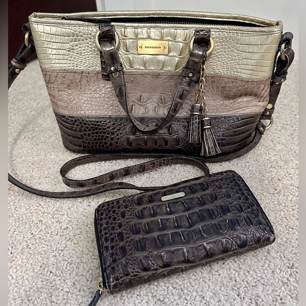 Brahmin Mini Tote Bag